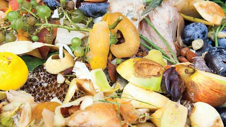 New York businesses now required to put food waste to beneficial use