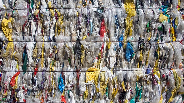 Washington considers plastic bag ban