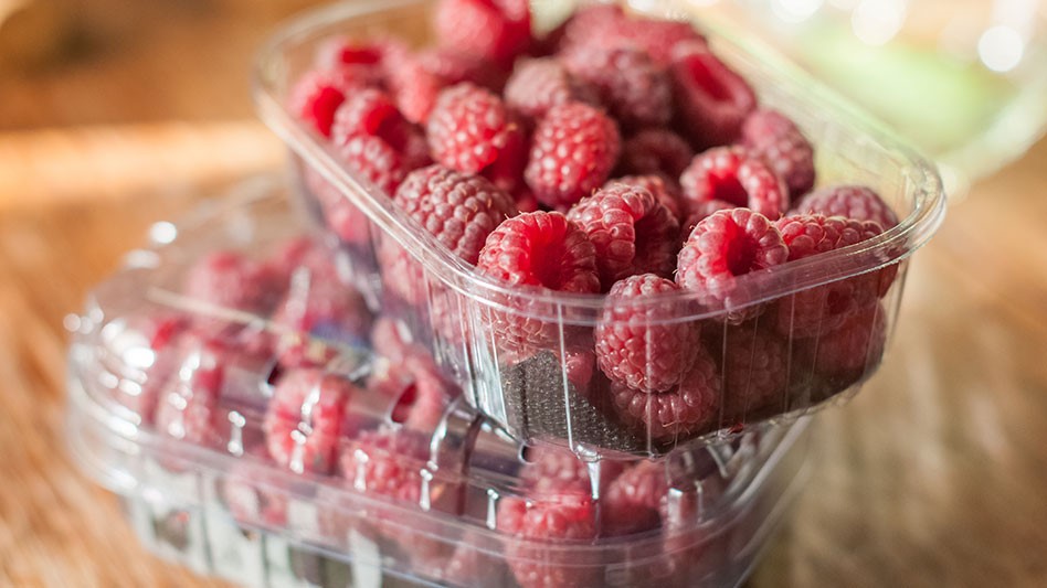 two plastic containers of raspberries stacked up